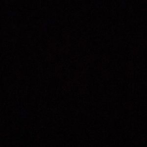 Meet your Posher, Shania